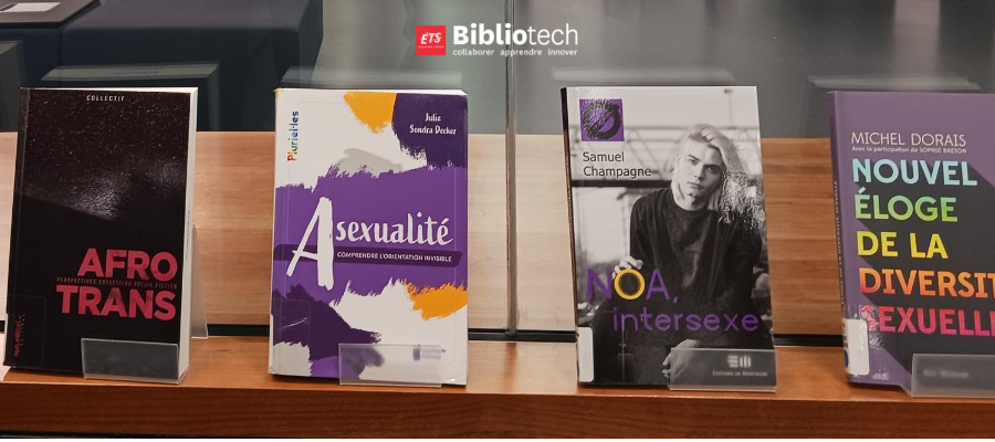 Liste De Lecture De La Bibliothèque Diversité Sexuelle Et De Genre Interface 2448